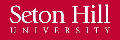 Login Logo